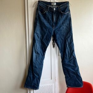 AGOLDE 90s pinch waist high rise straight jean size 27